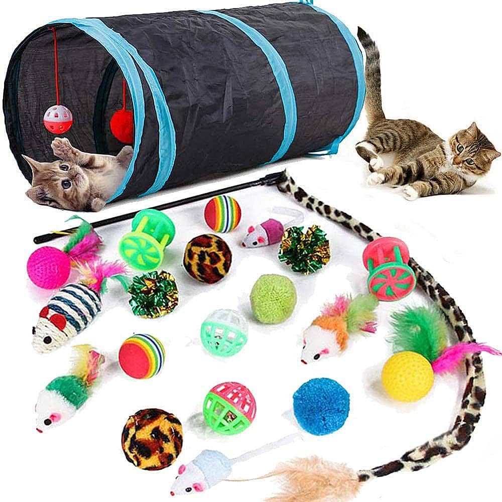 Cat Toys
