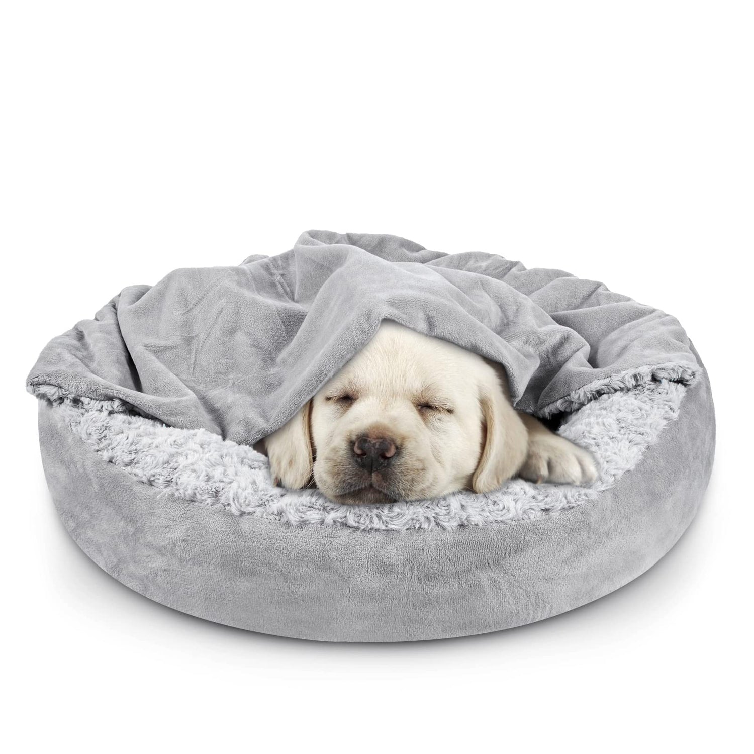 Beds/Blankets