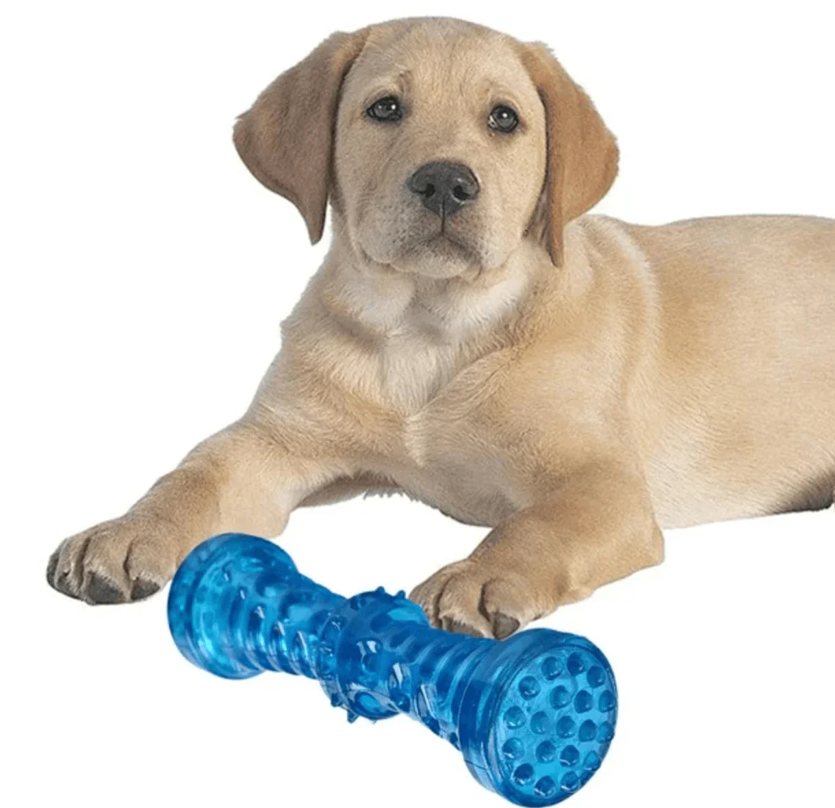 Dog Toys