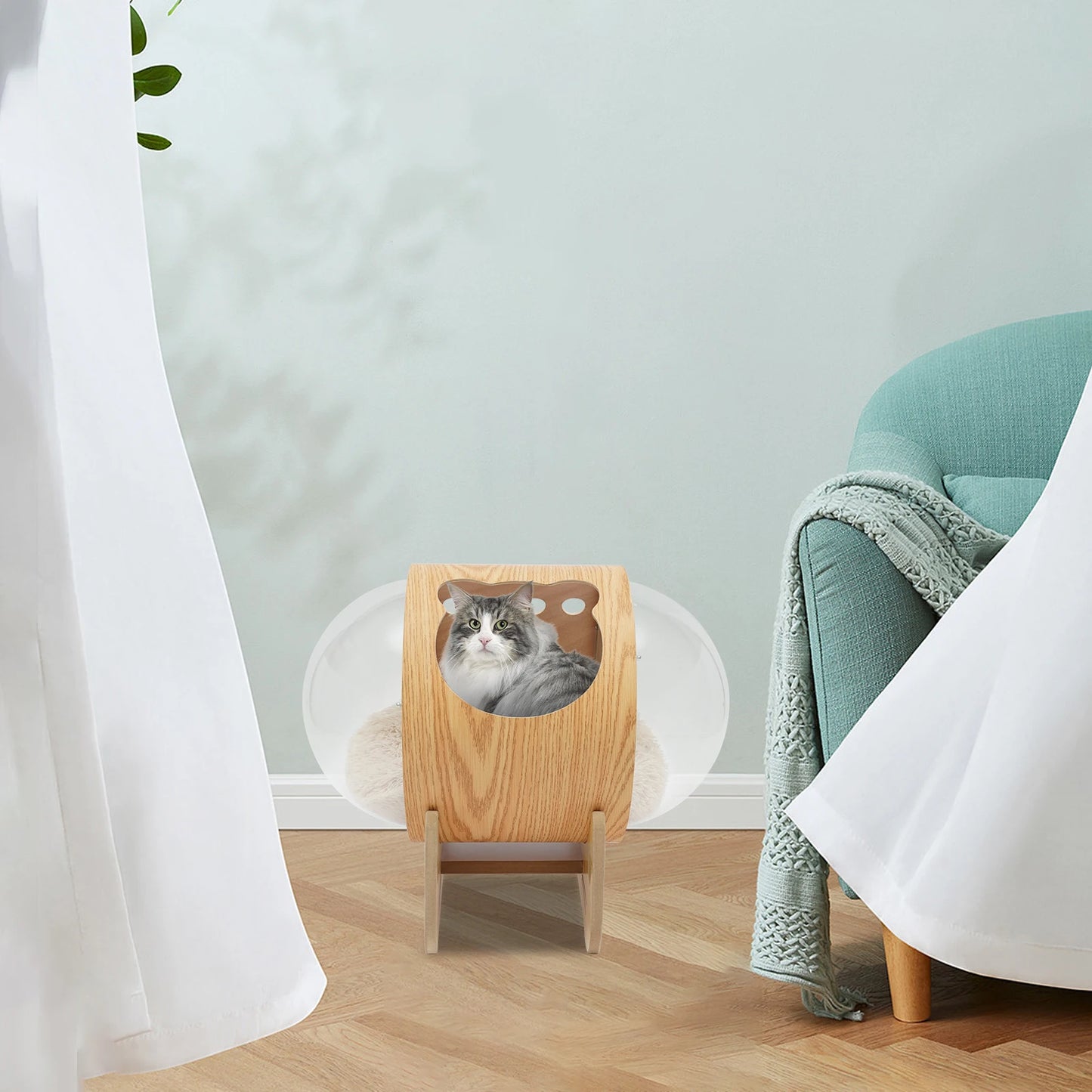 Cat Wooden Modern Pet Bed House Spaceship Space Capsule with Cushion